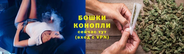 гидропоника Белоозёрский