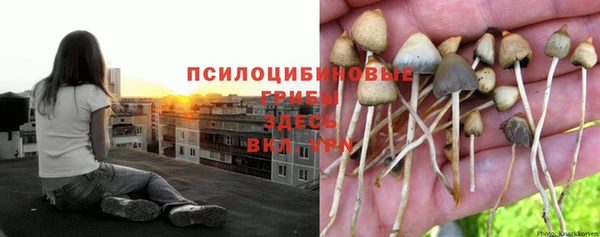 мяу мяу мука Беломорск