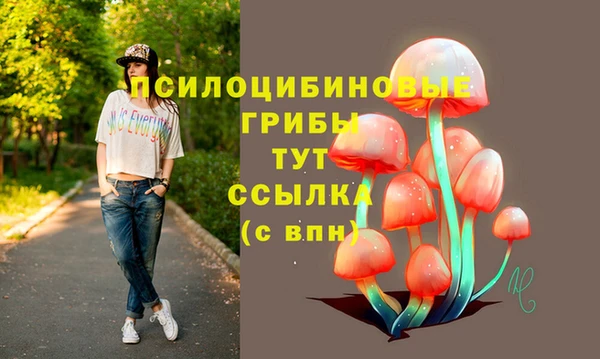 гидропоника Белоозёрский